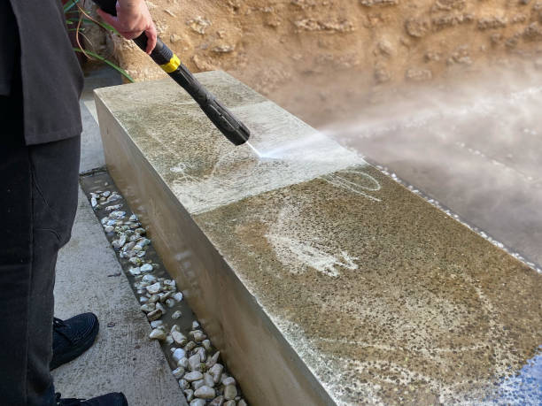 Best Roof Pressure Washing  in Park Forest, IL