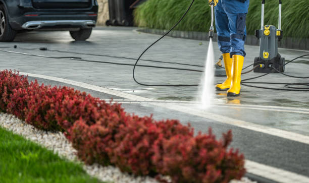 Best Concrete Pressure Washing  in Park Forest, IL