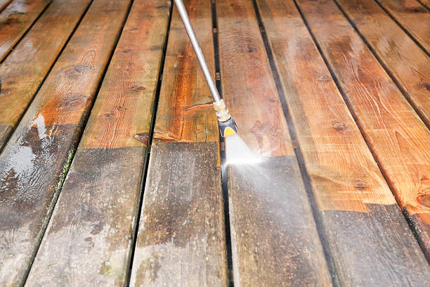 Best Exterior Home Cleaning  in Park Forest, IL