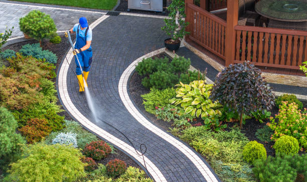 Reliable Park Forest, IL Pressure Washing Solutions